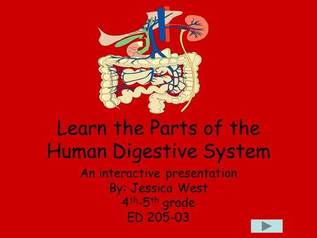Learn the Parts of the Human Digestive System An interactive presentation By: Jessica West 4 th -5 th grade ED 205-03.