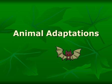 Animal Adaptations. Types of Adaptation Anything that helps an organism survive in its environment is an adaptation. Anything that helps an organism survive.