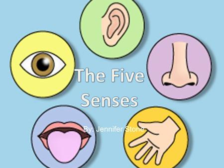 By: Jennifer Stone. Your five senses play an important role in your daily life. Every moment in your life, you use at least one of your five senses.
