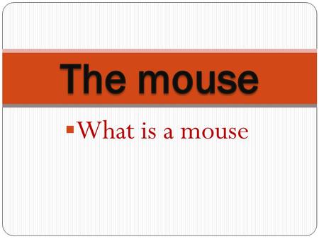 The mouse What is a mouse.