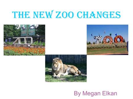 The new zoo changes By Megan Elkan. The animals There are lots of animals at the zoo but now we have increased our elephants and they are our new addition.