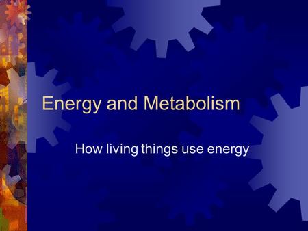 How living things use energy