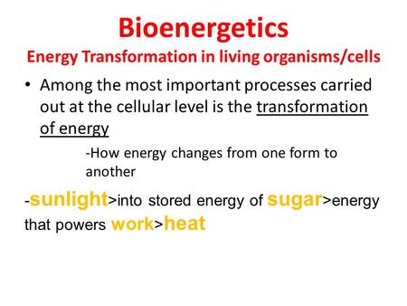 Bioenergetics Energy Transformation in living organisms/cells Among the most important processes carried out at the cellular level is the transformation.