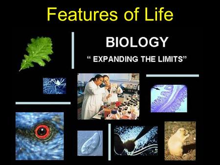 Features of Life Defined: the study of life Organism: anything that can carry on the processes of life Species: organisms that can create fertile offspring.