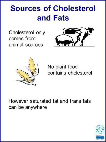Sources of Cholesterol and Fats Cholesterol only comes from animal sources No plant food contains cholesterol However saturated fat and trans fats can.