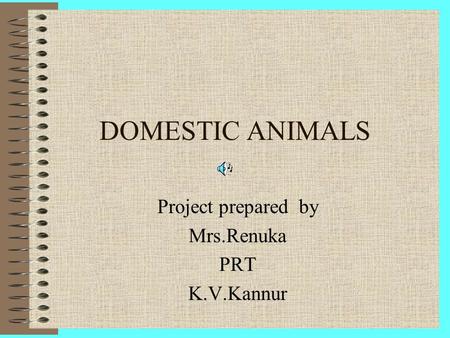 Project prepared by Mrs.Renuka PRT K.V.Kannur