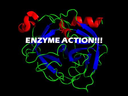 ENZYME ACTION!!!. What are Enzymes? An enzyme is a biological catalyst. It speeds up a chemical reaction without being used up in the reaction or becoming.