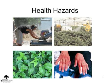 1 Health Hazards. This material was produced under grant number SH-22248-11-61-F-54 from the Occupational Safety and Health Administration, U.S. Department.