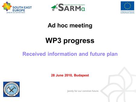 Ad hoc meeting WP3 progress Received information and future plan 28 June 2010, Budapest.