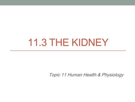 11.3 THE KIDNEY Topic 11 Human Health & Physiology.