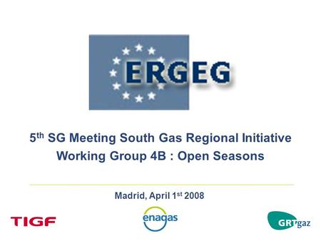 Madrid, April 1 st 2008 5 th SG Meeting South Gas Regional Initiative Working Group 4B : Open Seasons.