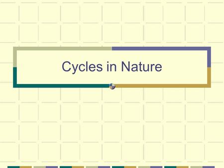 Cycles in Nature.