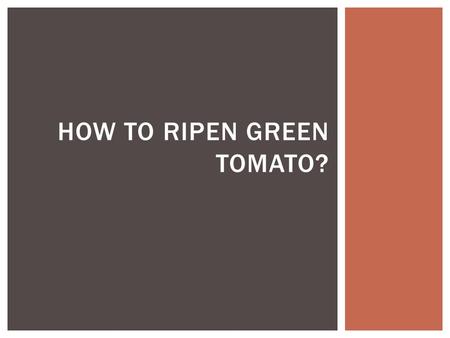 HOW TO RIPEN GREEN TOMATO?. Plant Hormones 12.6 UNDERSTANDING PLANT HORMONES.