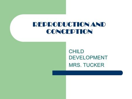 REPRODUCTION AND CONCEPTION CHILD DEVELOPMENT MRS. TUCKER.