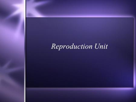Reproduction Unit. Male Reproductive System  Puberty - period of growth when secondary sex characteristics appear.  Puberty begins when a male begins.