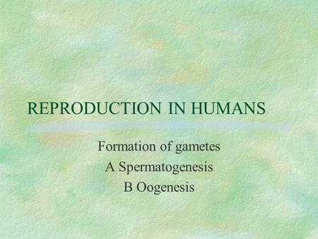 REPRODUCTION IN HUMANS Formation of gametes A Spermatogenesis B Oogenesis.