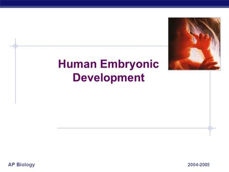 AP Biology 2004-2005 Human Embryonic Development.