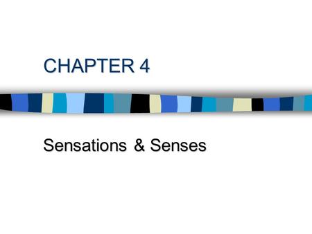 CHAPTER 4 Sensations & Senses. Our Senses & the World n Characteristics of All Senses n RECEPTION: –Accessory Structures-modify the energy created by.