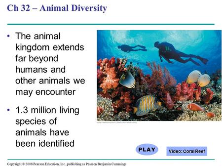 Copyright © 2008 Pearson Education, Inc., publishing as Pearson Benjamin Cummings Ch 32 – Animal Diversity The animal kingdom extends far beyond humans.