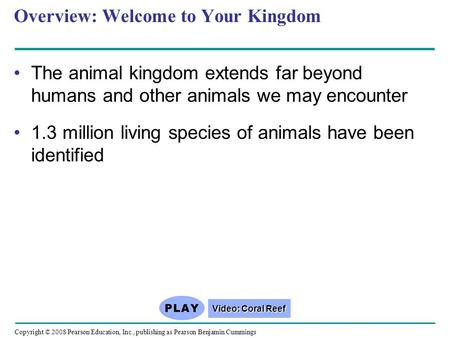Copyright © 2008 Pearson Education, Inc., publishing as Pearson Benjamin Cummings Overview: Welcome to Your Kingdom The animal kingdom extends far beyond.