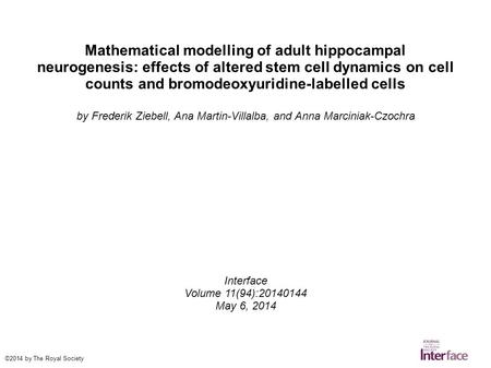 Mathematical modelling of adult hippocampal neurogenesis: effects of altered stem cell dynamics on cell counts and bromodeoxyuridine-labelled cells by.