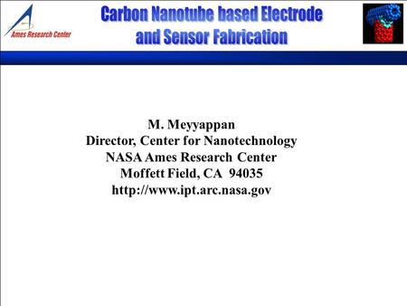 M. Meyyappan Director, Center for Nanotechnology NASA Ames Research Center Moffett Field, CA 94035