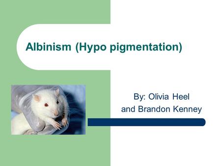 Albinism (Hypo pigmentation) By: Olivia Heel and Brandon Kenney.