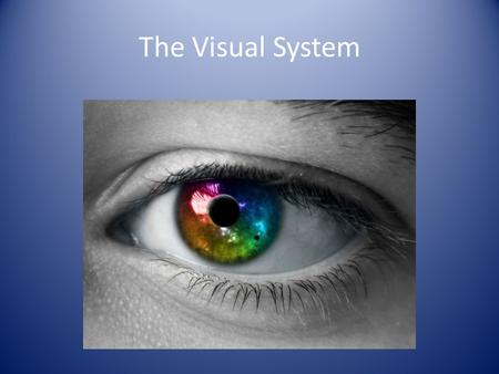 The Visual System. The Nature of Light Electromagnetic Spectrum – An energy spectrum that includes X-rays, radar, and radio waves – A small portion of.