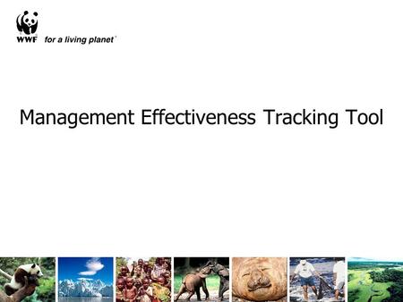 Management Effectiveness Tracking Tool. 902 METT assessments included in the global study A major data source.