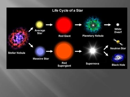 THE LIFE CYCLE OF STARS Stars are born in nebulae. Huge clouds of dust and gas collapse under gravitational forces, forming protostars. These young stars.