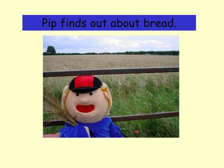 Pip finds out about bread.. I was making bread this week. I used some flour. This is how I found out where the flour comes from. I started in the countryside.