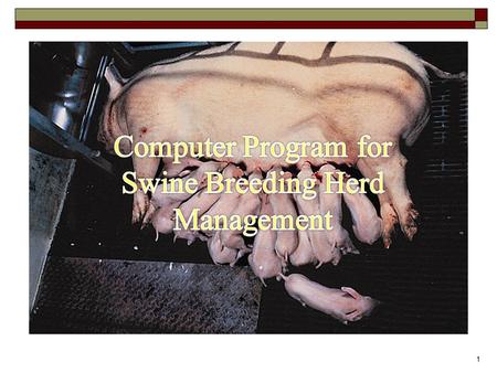 1. 2/58 Swine breeding herd management 3 Principal events and cyclic pattern in sow reproduction (Plà, 2007) The system process mimics the managing breeding.