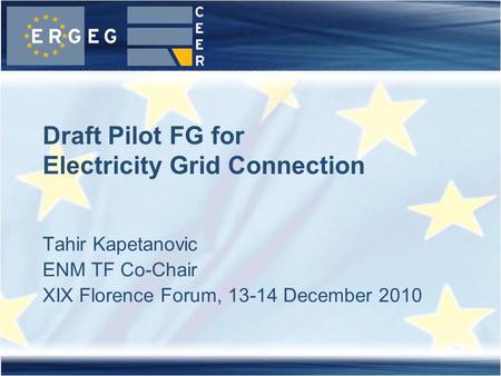 Tahir Kapetanovic ENM TF Co-Chair XIX Florence Forum, 13-14 December 2010 Draft Pilot FG for Electricity Grid Connection.