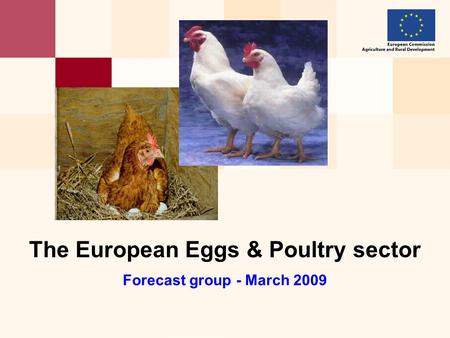 The European Eggs & Poultry sector Forecast group - March 2009.