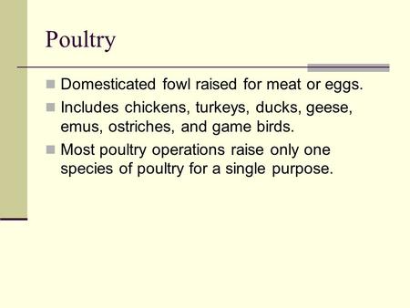 Poultry Domesticated fowl raised for meat or eggs. Includes chickens, turkeys, ducks, geese, emus, ostriches, and game birds. Most poultry operations raise.