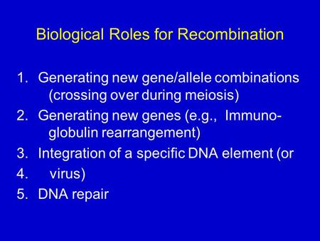 Biological Roles for Recombination 1.Generating new gene/allele combinations (crossing over during meiosis) 2.Generating new genes (e.g., Immuno- globulin.