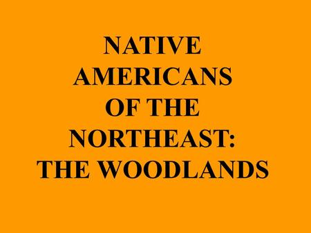 NATIVE AMERICANS OF THE NORTHEAST: THE WOODLANDS.