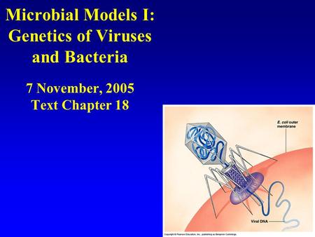 Microbial Models I: Genetics of Viruses and Bacteria 7 November, 2005 Text Chapter 18.