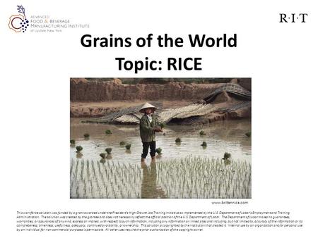 Grains of the World Topic: RICE This workforce solution was funded by a grant awarded under the President’s High Growth Job Training Initiative as implemented.