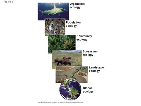 Fig. 52-2 Organismal ecology Population ecology Community ecology Ecosystem ecology Landscape ecology Global ecology.