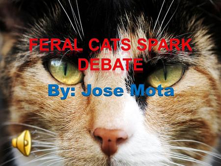 1.Issue 2.What's a Feral Cat? 3.What does each side want? 4.Pros and Cons 5.My Opinion 6.Conclusion 7.Source Cited.