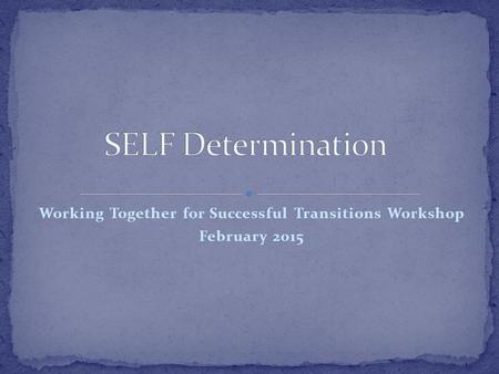 Working Together for Successful Transitions Workshop February 2015.