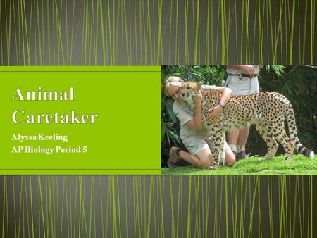 Alyssa Keeling AP Biology Period 5. -Animal Sciences -Biology -Equestrian Studies -Marine Biology -Pre-veterinary Studies -Psychology -Zoology -Veterinary.