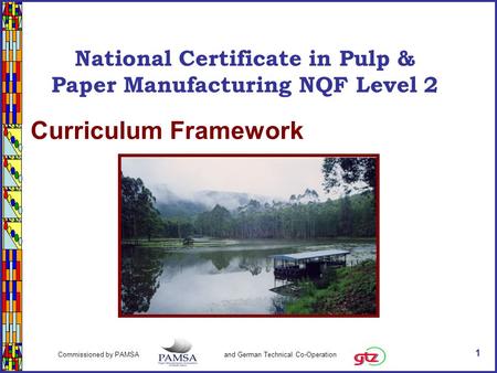 1 Commissioned by PAMSA and German Technical Co-Operation National Certificate in Paper & Pulp Manufacturing NQF Level 2 Curriculum Framework National.