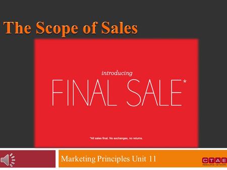 Marketing Principles Unit 11  The functions of Selling  Marketing as a complement to sales  Channels through which sales are promoted  Theories that.