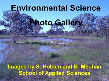 Environmental Science Photo Gallery Images by S. Holden and B. Meehan School of Applied Sciences.