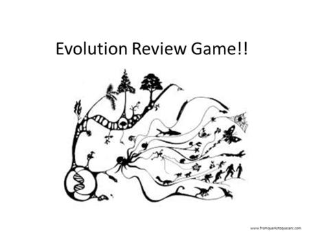 Evolution Review Game!! www.fromquarkstoquasars.com.