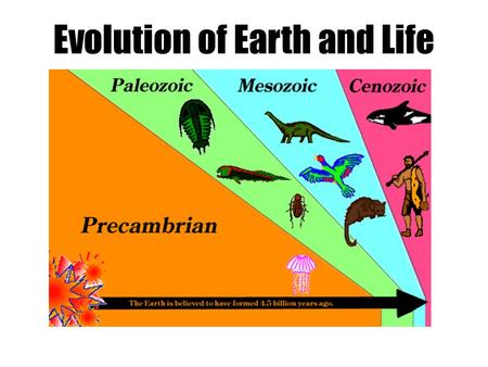 Evolution of Earth and Life. Variations in Fossils & Environments A wide variety of life forms have lived on Earth. – Most probably haven’t been identified.