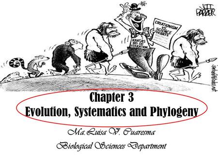 Ma.Luisa V. Cuaresma Biological Sciences Department Chapter 3 Evolution, Systematics and Phylogeny.