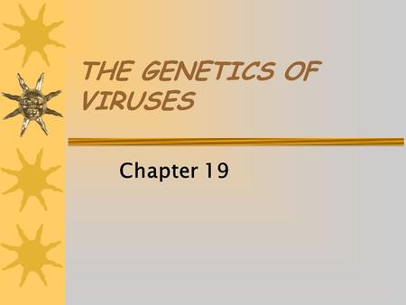 THE GENETICS OF VIRUSES Chapter 19. CHARACTERISTICS OF VIRUSES  Small (20nm)  Composed of RNA or DNA and protein  Capsid- protein coat that encloses.
